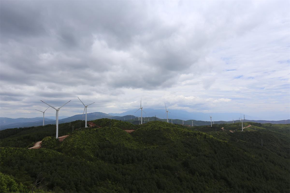 五子坡風(fēng)場(chǎng)全景照片(2) 323.jpg